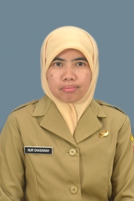 Nur Chasanah